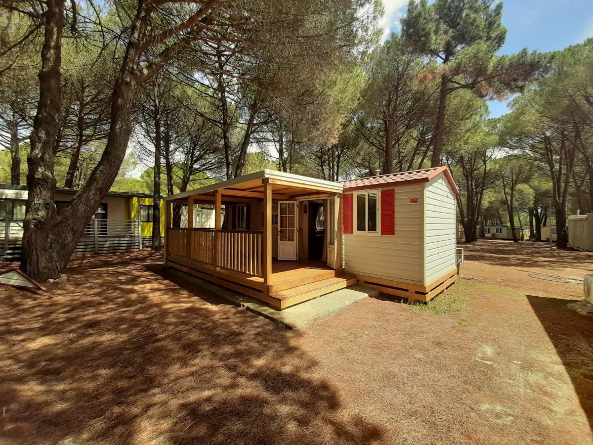 Lux Camp - Mobile Homes In Bi Village Fažana Buitenkant foto
